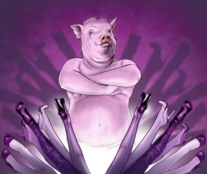 ilustracja świnia